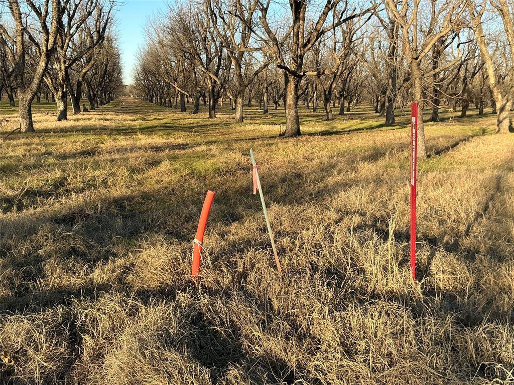 Granbury, TX 76049,3140 E Landings S