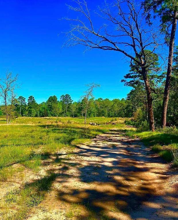 Alba, TX 75410,868 County Road 2920