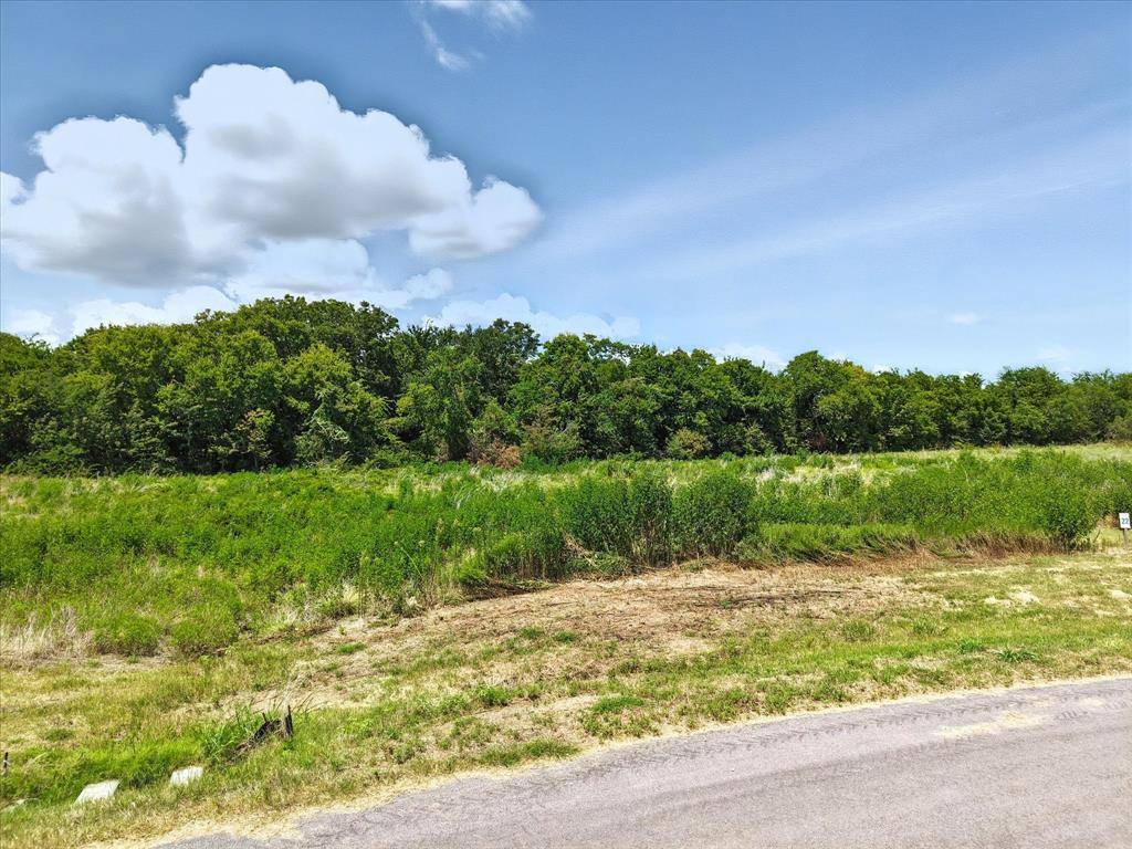 Corsicana, TX 75109,22 Richland Cove