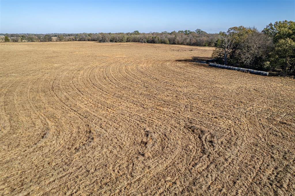 Emory, TX 75440,320 County Road 2160