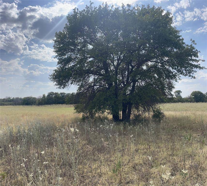 Anson, TX 79501,Lot 8 Blue Lacy Lane