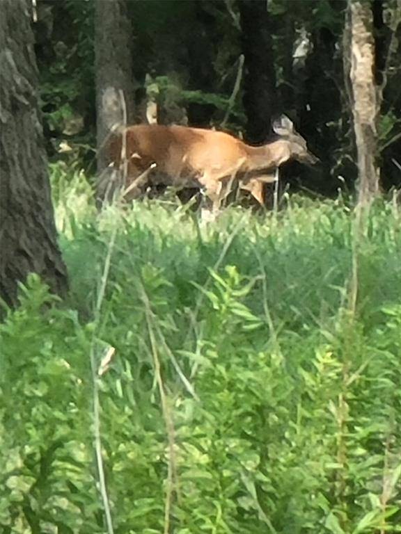 Wills Point, TX 75169,1478 Creek Crossing Trail