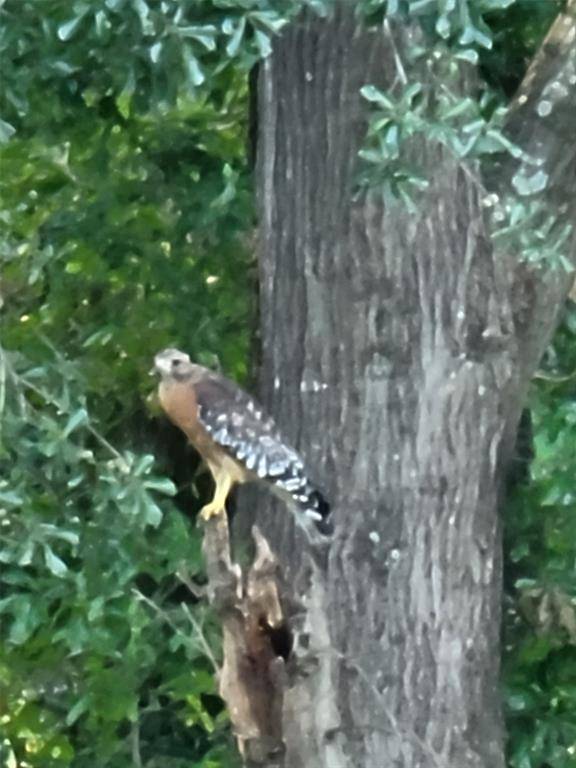 Wills Point, TX 75169,1478 Creek Crossing Trail