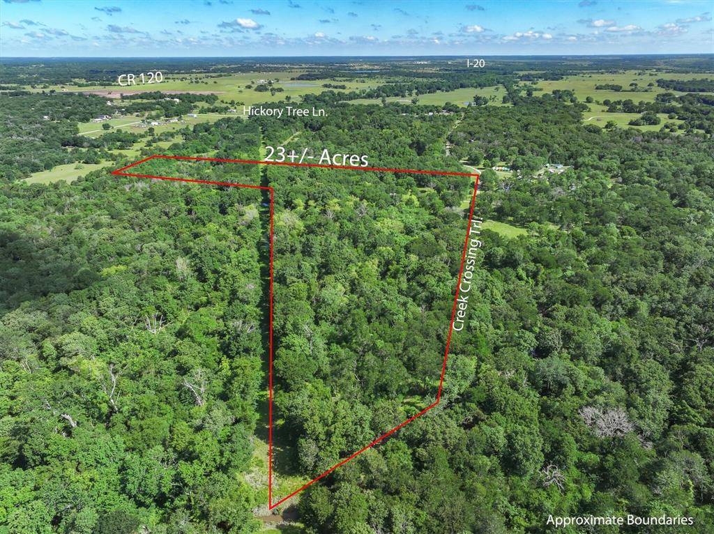 Wills Point, TX 75169,1478 Creek Crossing Trail