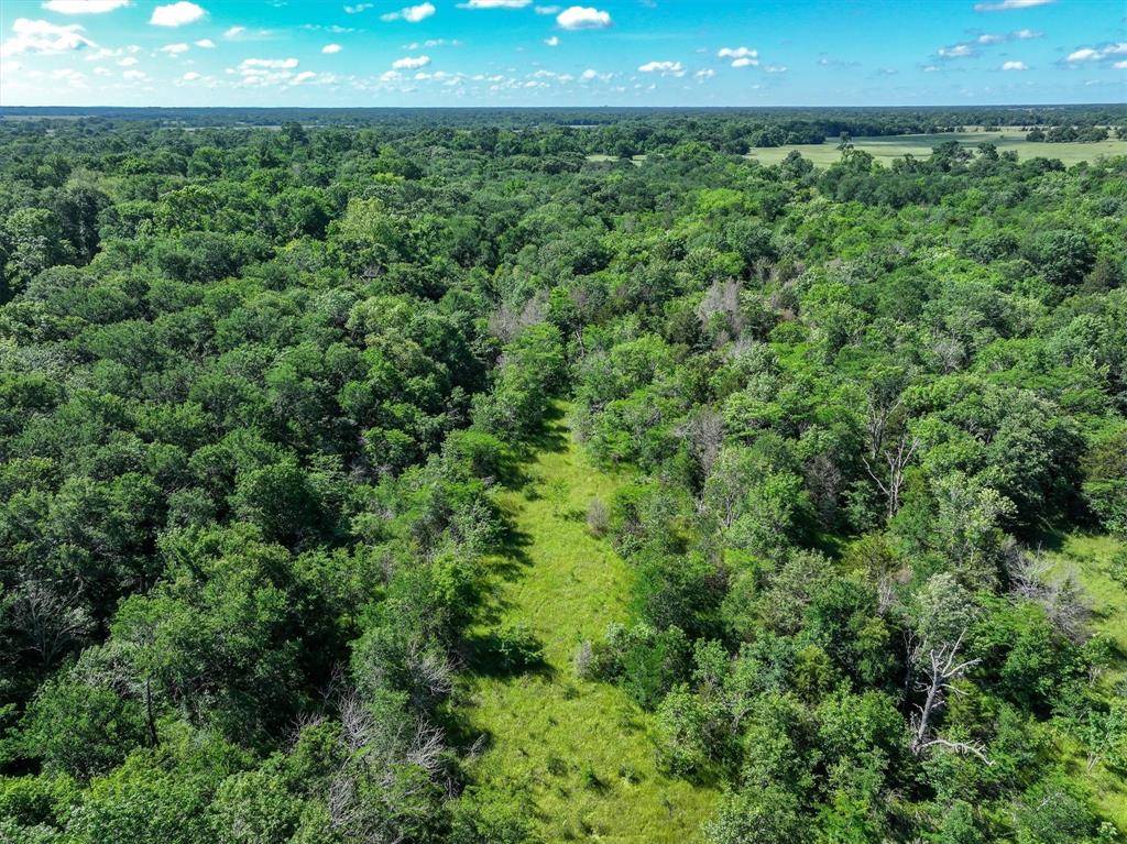 Wills Point, TX 75169,1478 Creek Crossing Trail