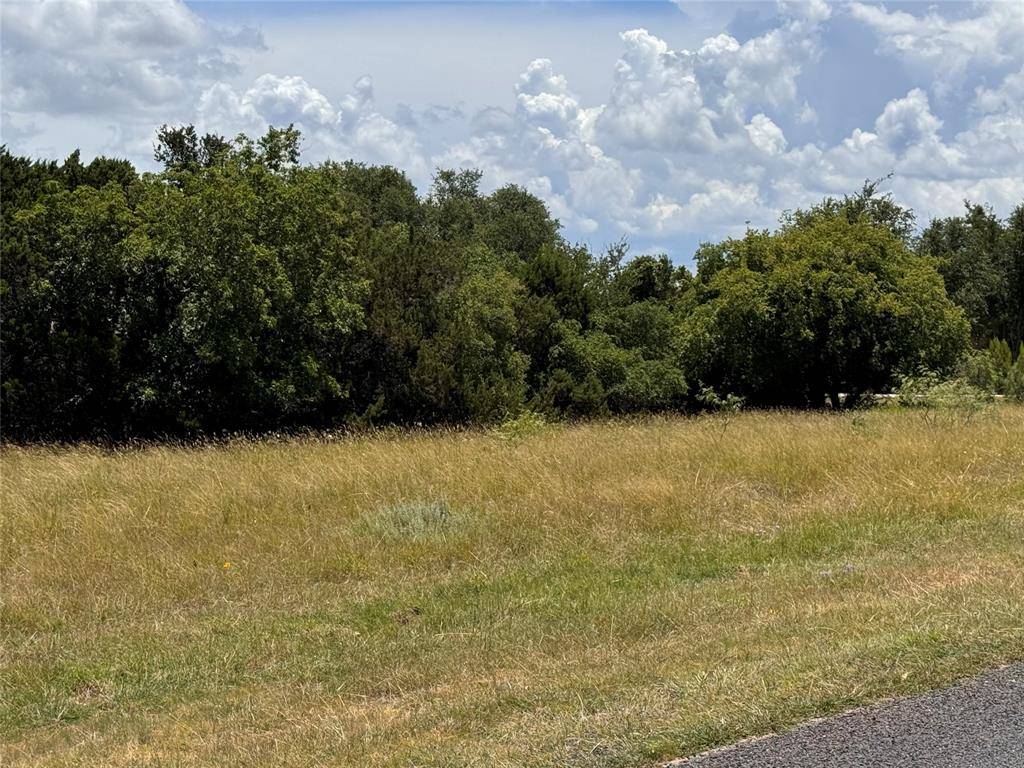 Whitney, TX 76692,19066 White Bluff Drive