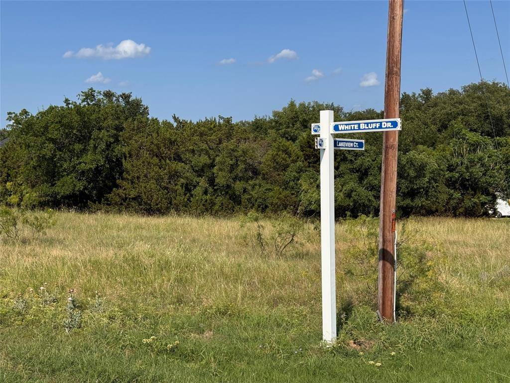 Whitney, TX 76692,19066 White Bluff Drive