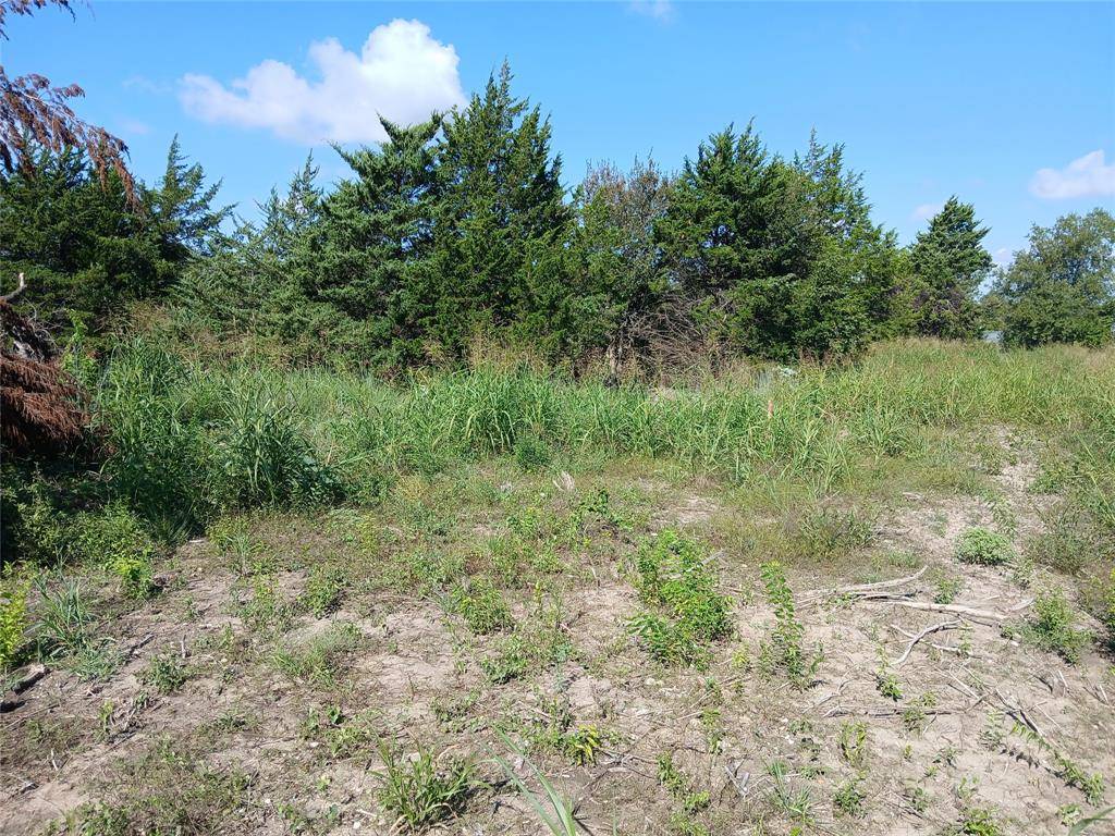 Hubbard, TX 76648,TBD LOT 4 HCR 3360 Road