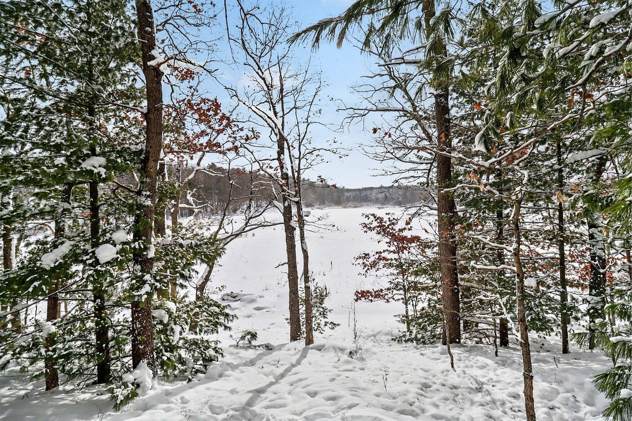 Baldwin, MI 49304,8597 W Deer Run