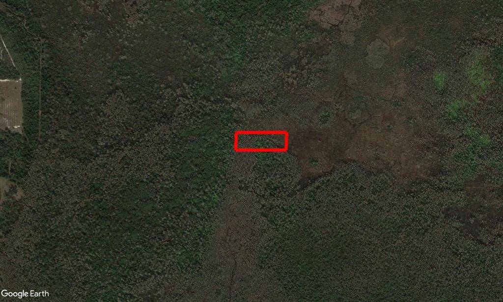 St. Cloud, FL 34772,0 HOLOPAW GROVES RD