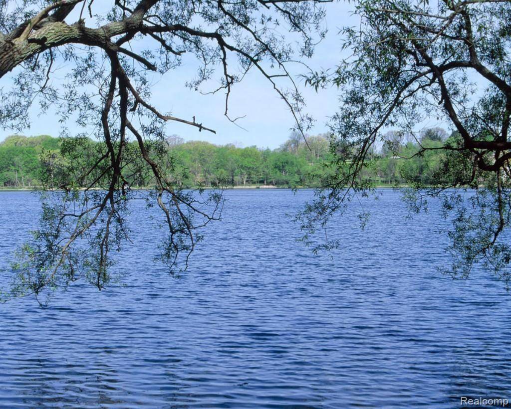 Bloomfield Hills, MI 48302,2629 TURTLE SHORES