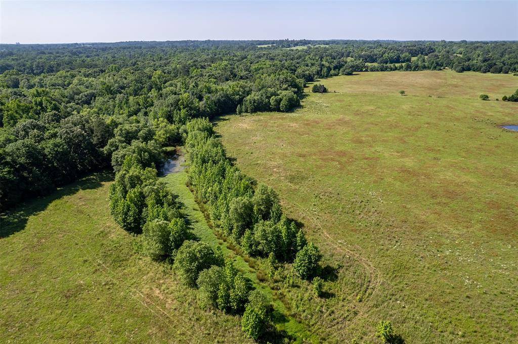 Mineola, TX 75773,400 County Road 2775