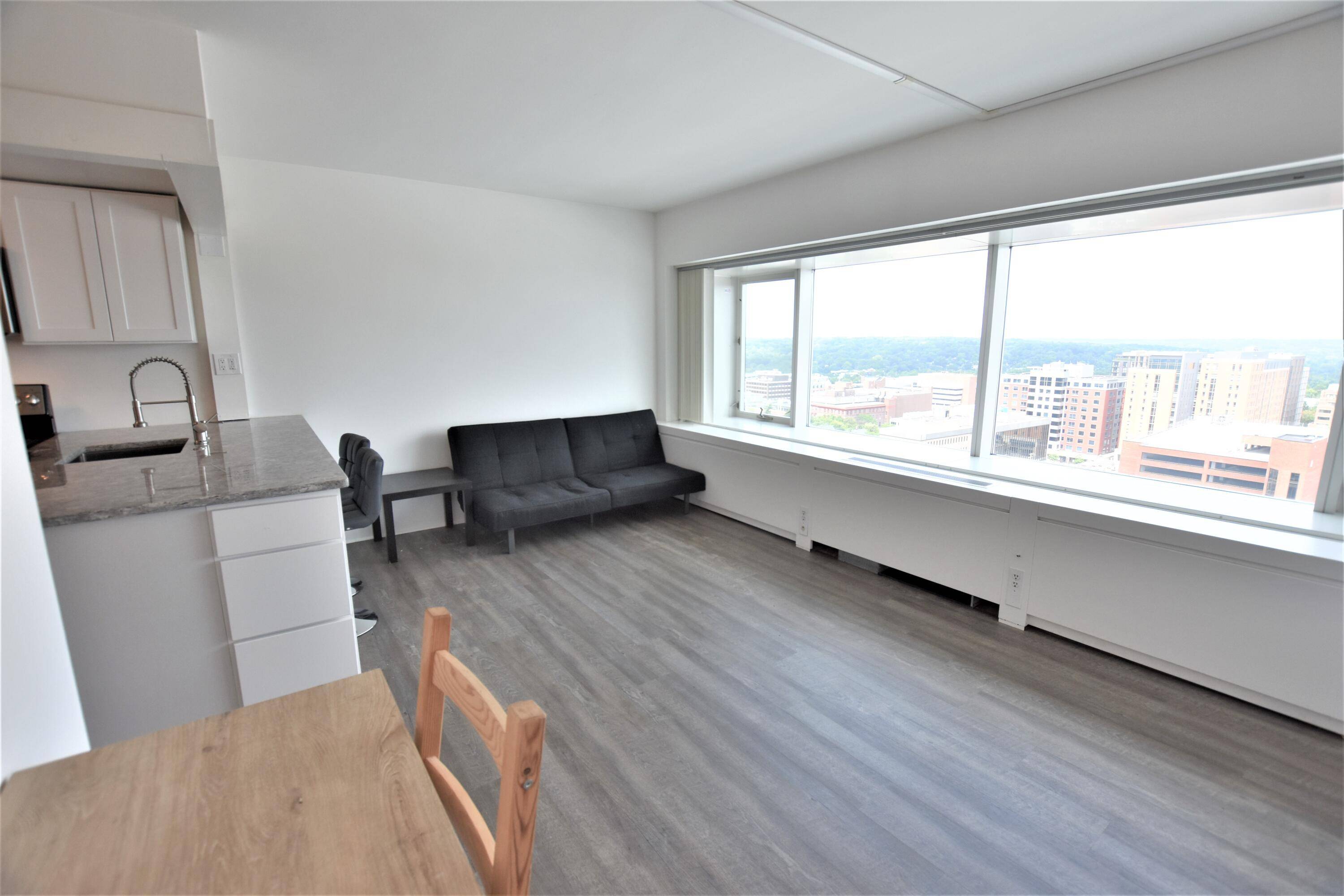 Ann Arbor, MI 48104,555 E William ST #17H