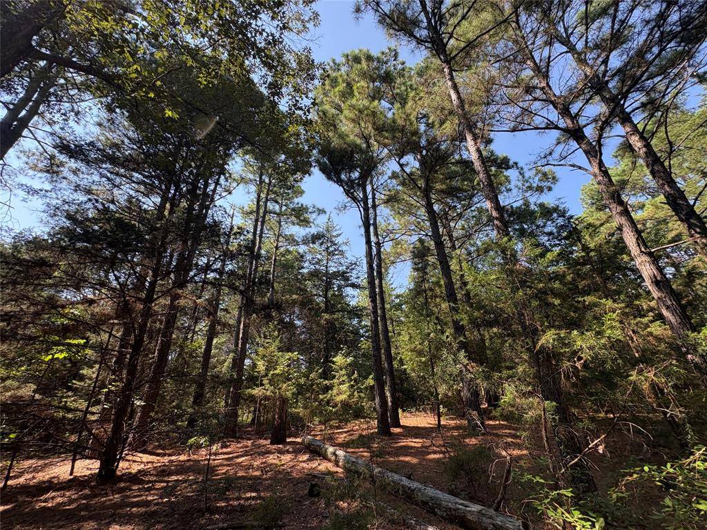 TBD FM 69 #Tract 2, Como, TX 75431