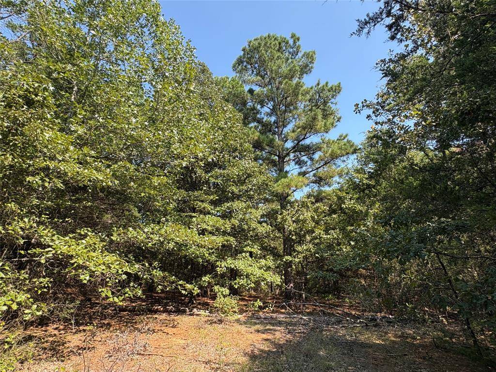 TBD FM 69 #Tract 2, Como, TX 75431