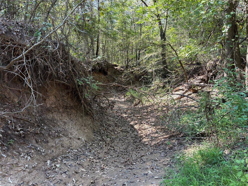 TBD FM 69 #Tract 2, Como, TX 75431