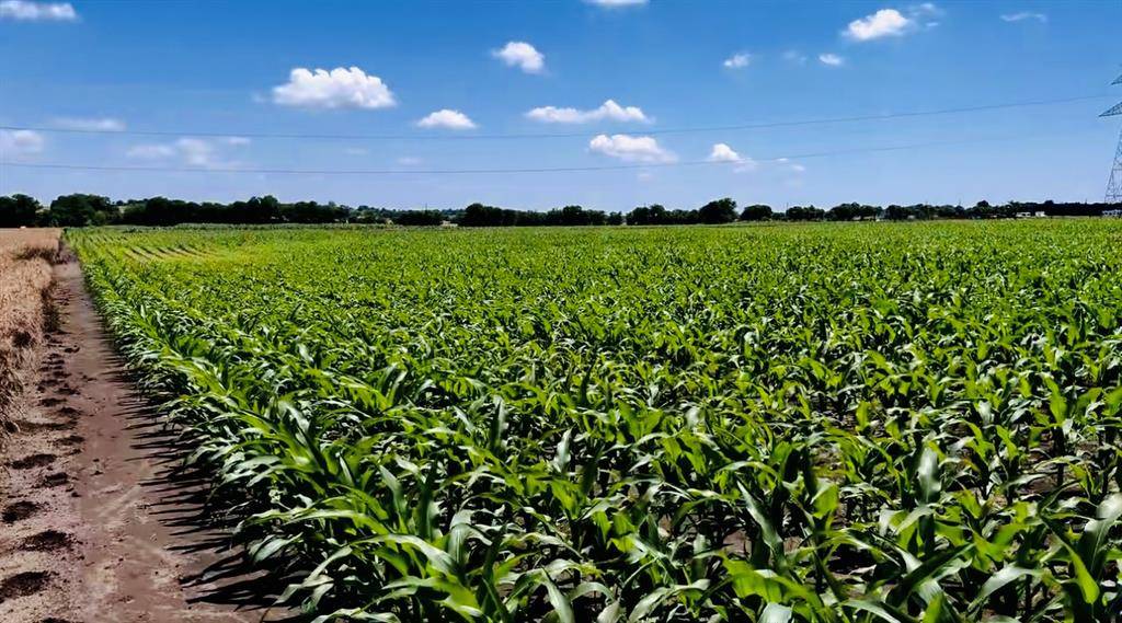 Alvarado, TX 76009,9775 County Road 505