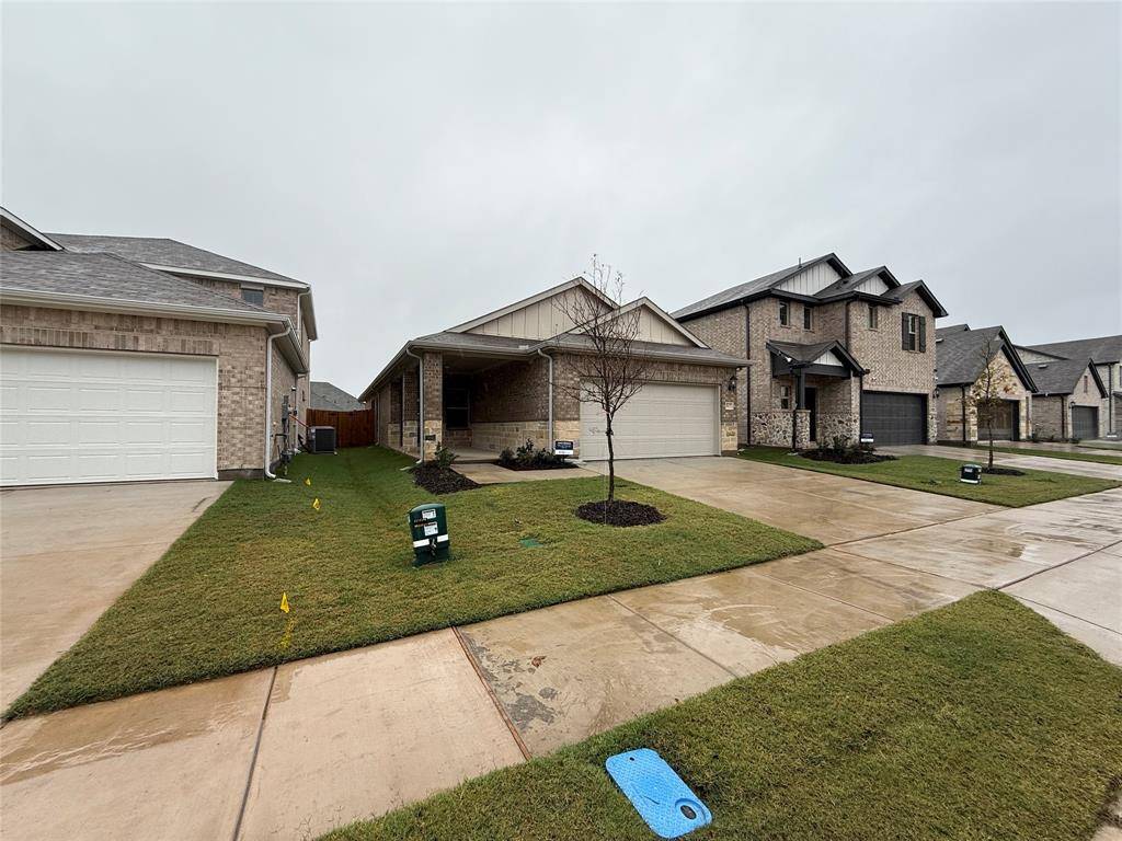 Mckinney, TX 75069,517 Blanton Street