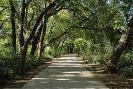 Mansfield, TX 76063,520 W Broad Street