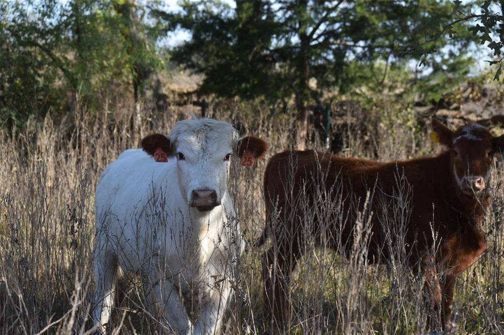 318 Fm 2488, Covington, TX 76636