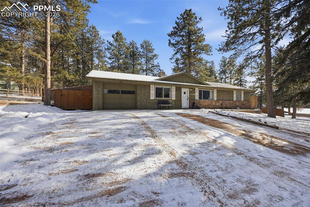 Woodland Park, CO 80863,1731 Navajo TRL