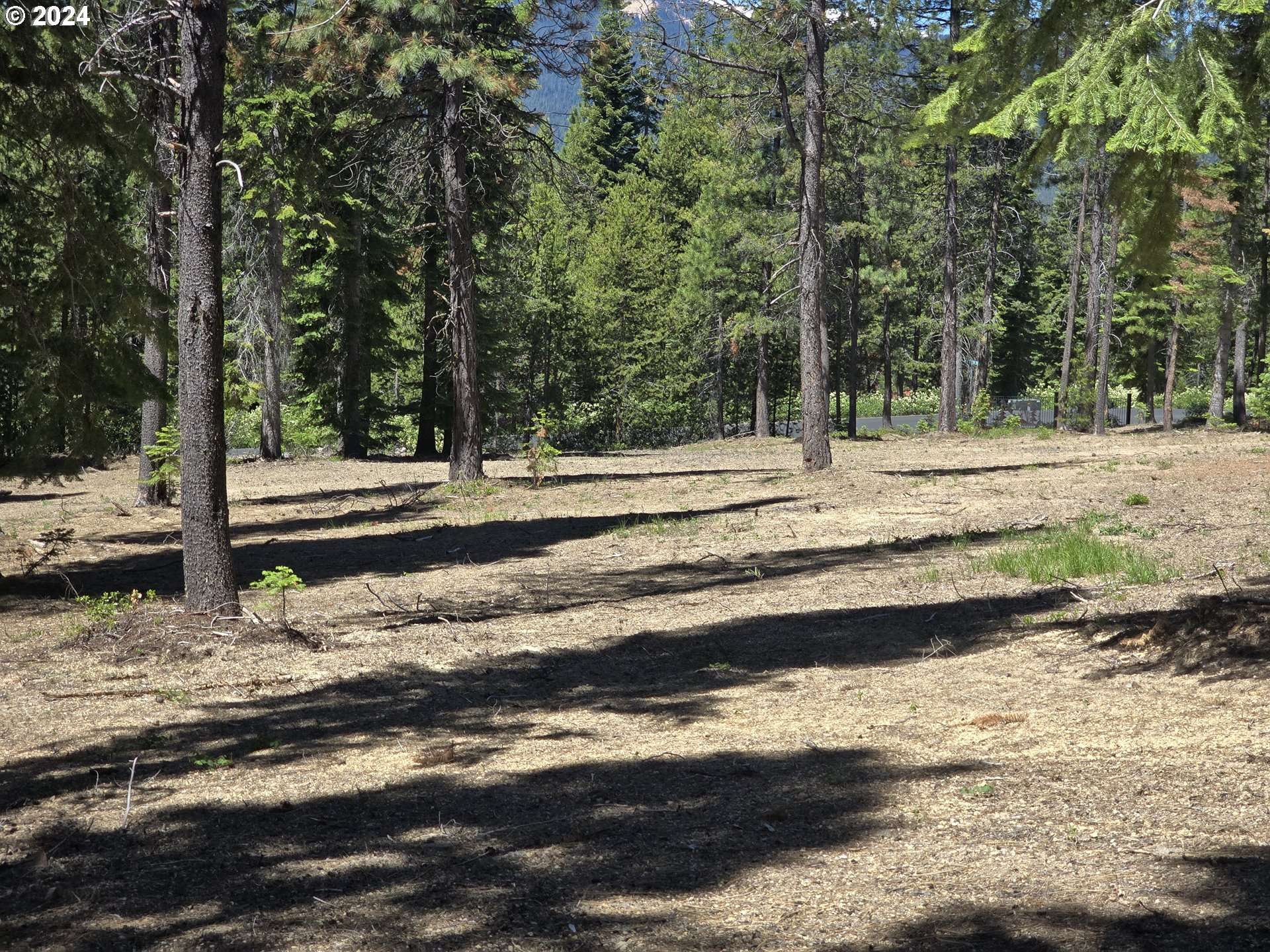 19 Elk Haven, Crescent Lake, OR 97733