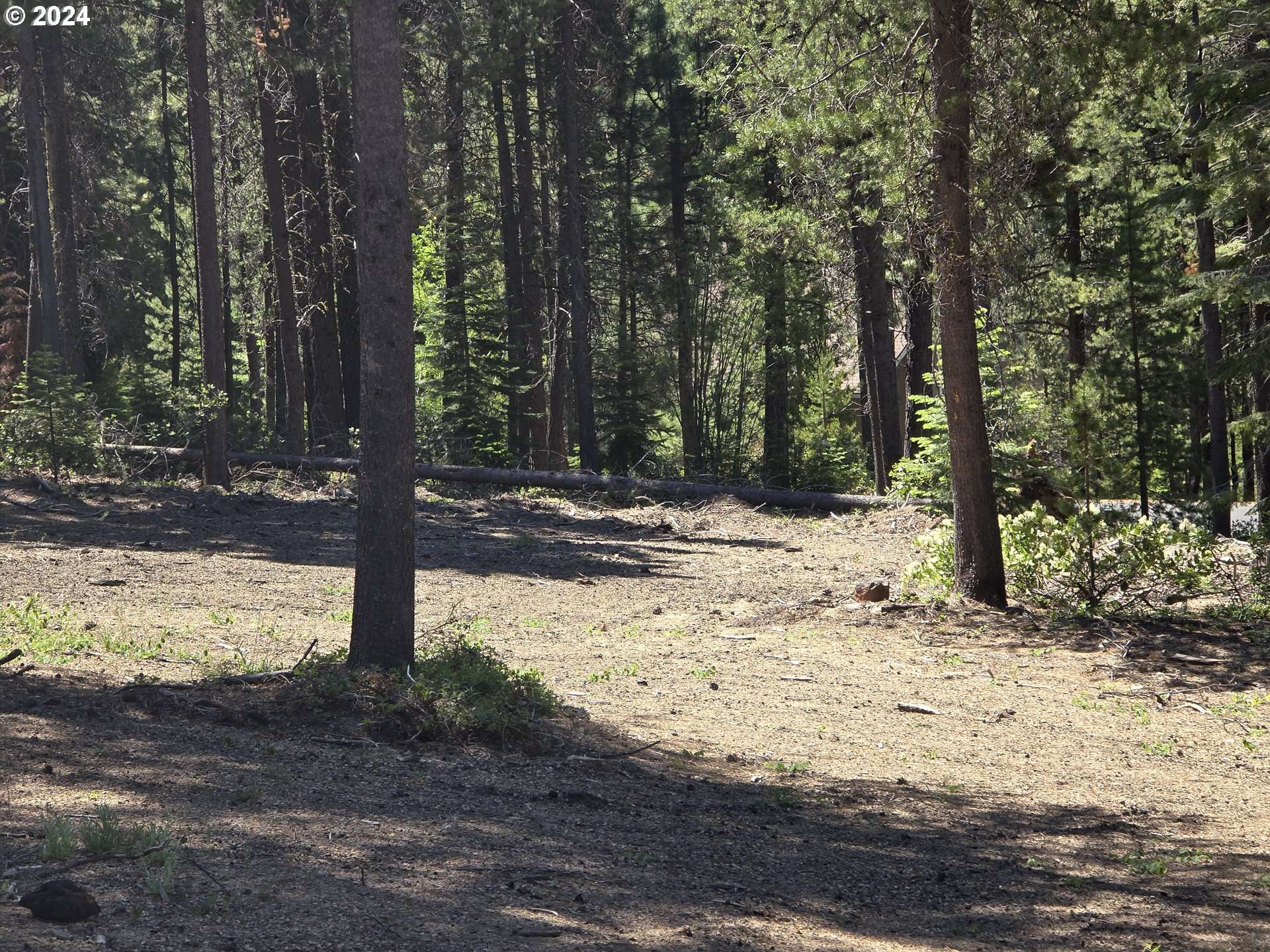 19 Elk Haven, Crescent Lake, OR 97733