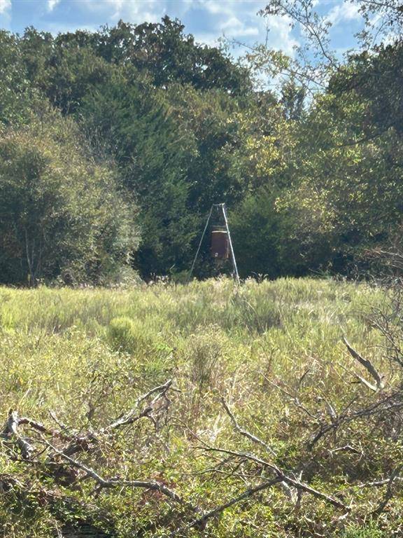 No City, TX 76687,TBD FM 937