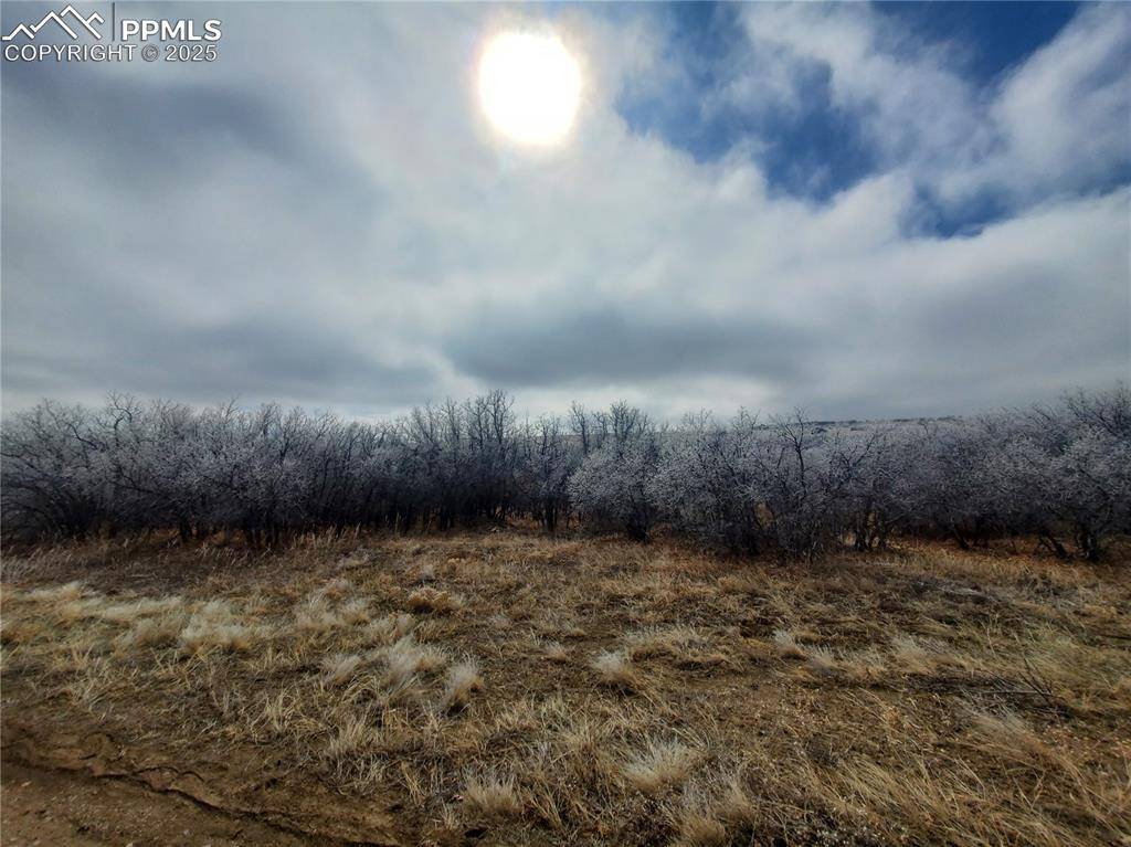 Thacker RD, Colorado City, CO 81069