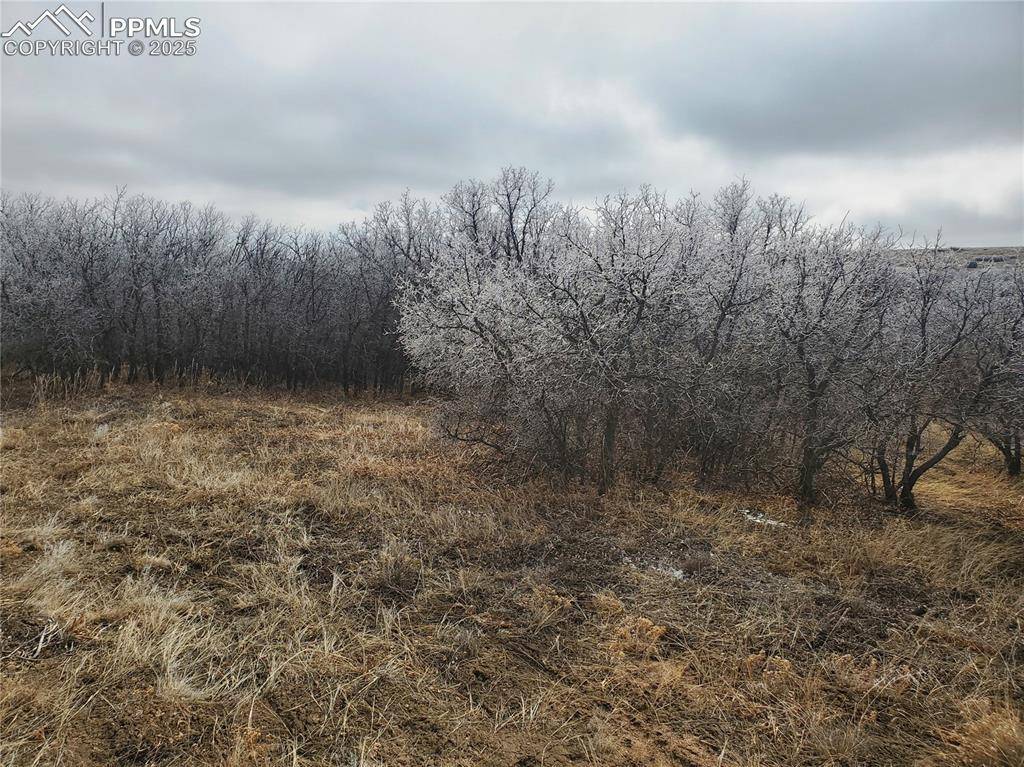 Thacker RD, Colorado City, CO 81069