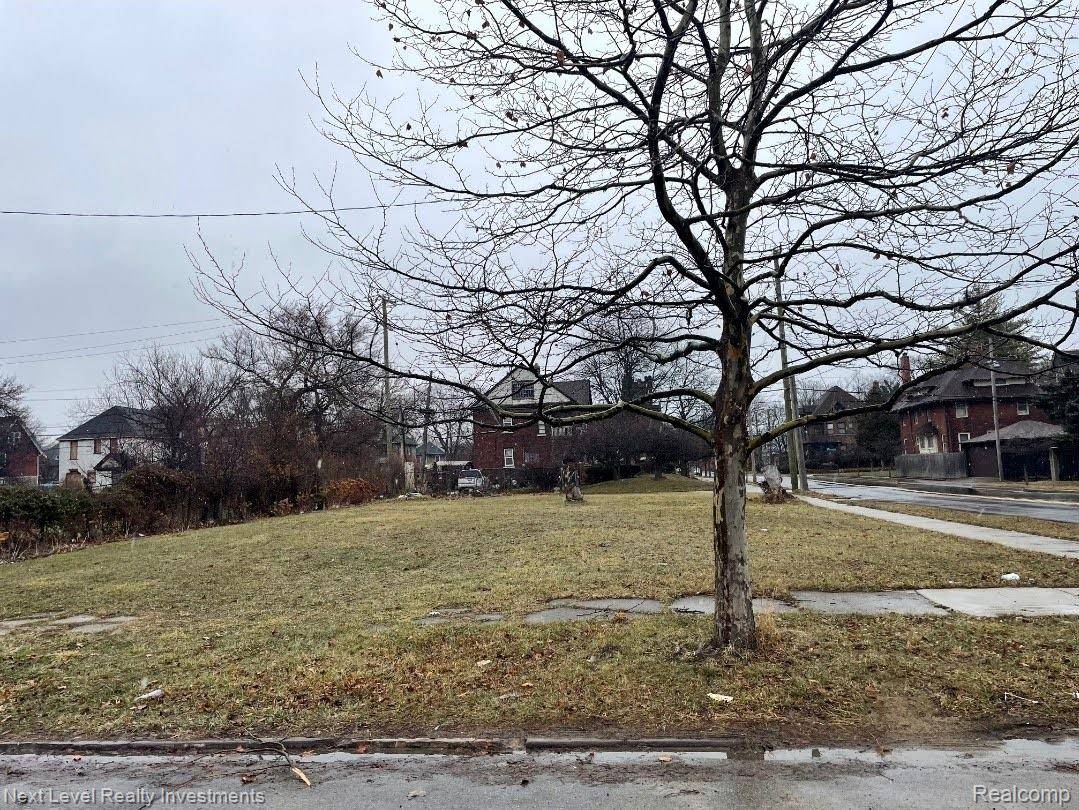 Detroit, MI 48214,1000 Baldwin ST