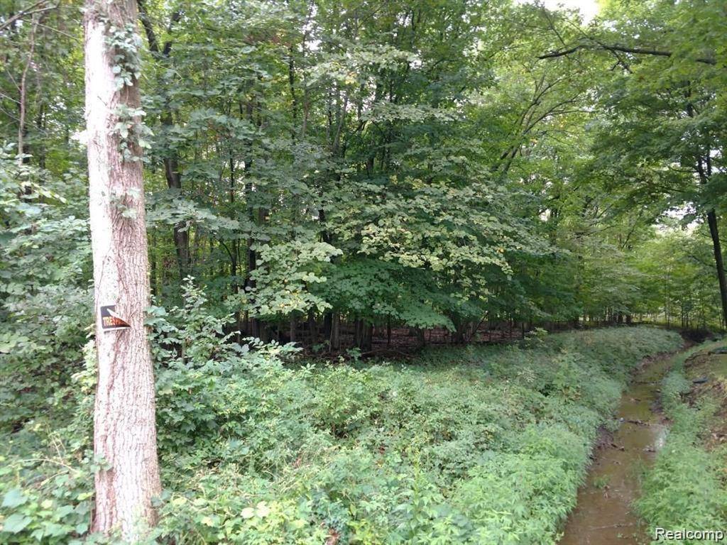 03 Joann DR, Berlin Charter Township, MI 48166