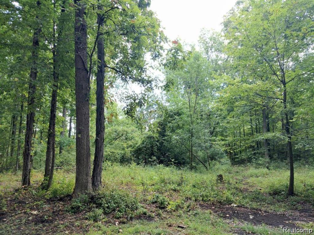 03 Joann DR, Berlin Charter Township, MI 48166