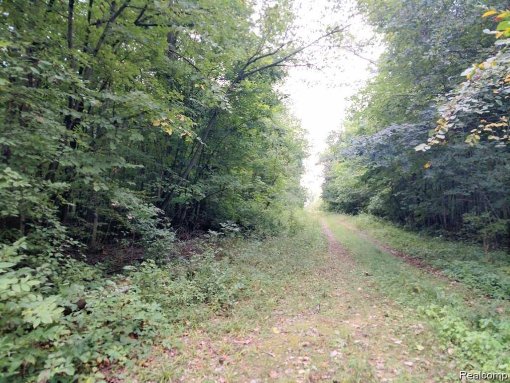 03 Joann DR, Berlin Charter Township, MI 48166