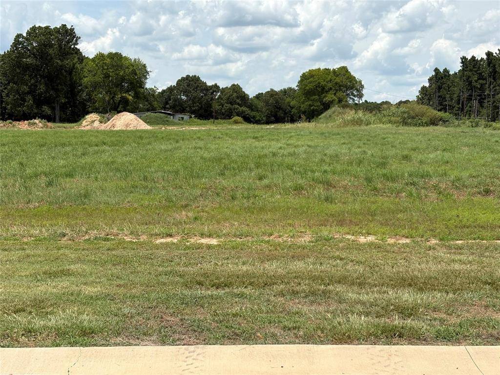 Yantis, TX 75497,TBD PVT 5948 Street #19