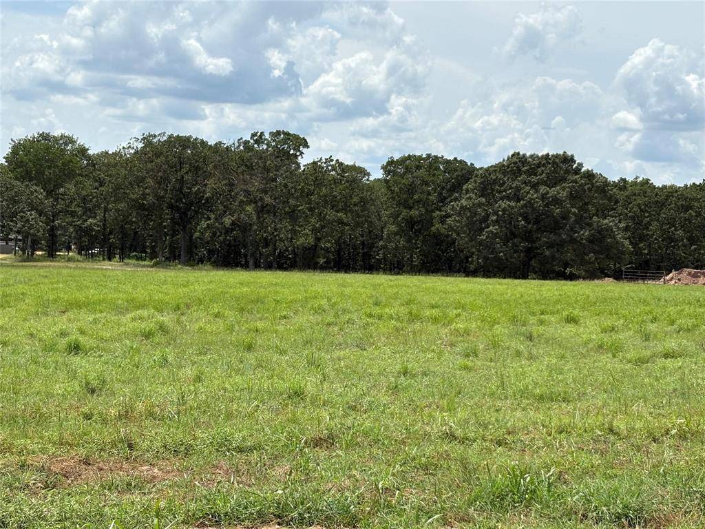 Yantis, TX 75497,TBD PVT 5948 Street #19