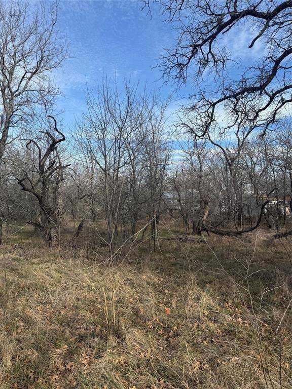 Bridgeport, TX 76426,0 Shady Oaks Drive