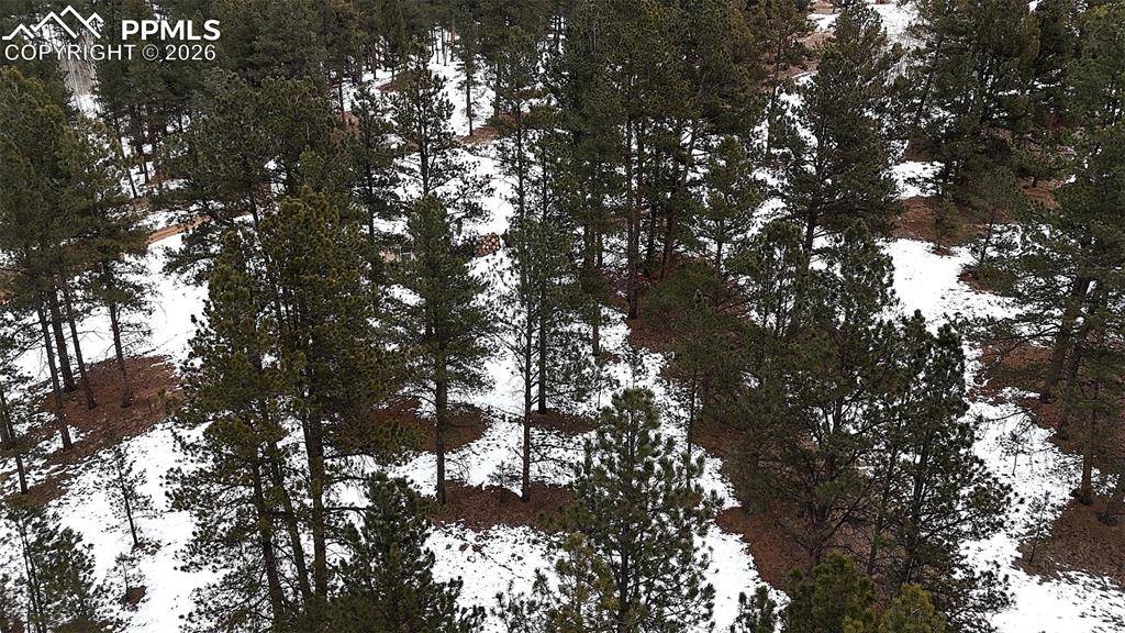 Florissant, CO 80816,210 Rhyolite LN