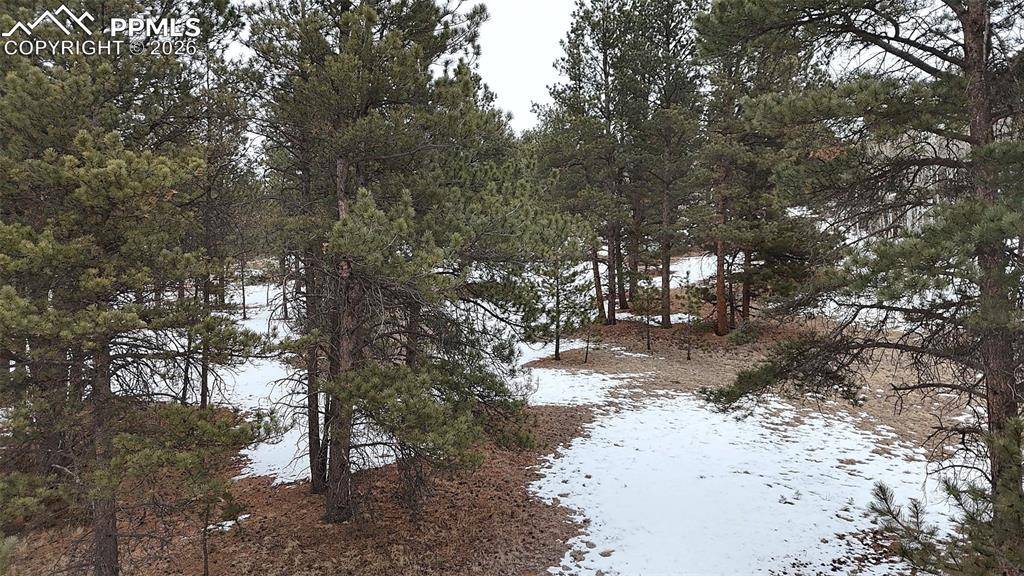 Florissant, CO 80816,210 Rhyolite LN