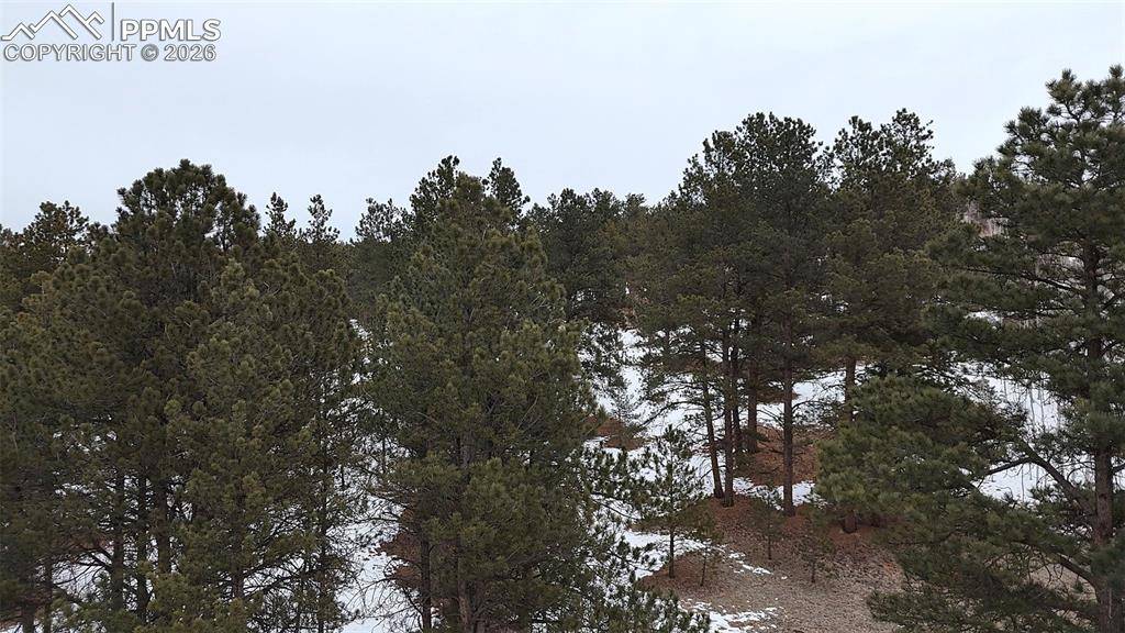 Florissant, CO 80816,210 Rhyolite LN