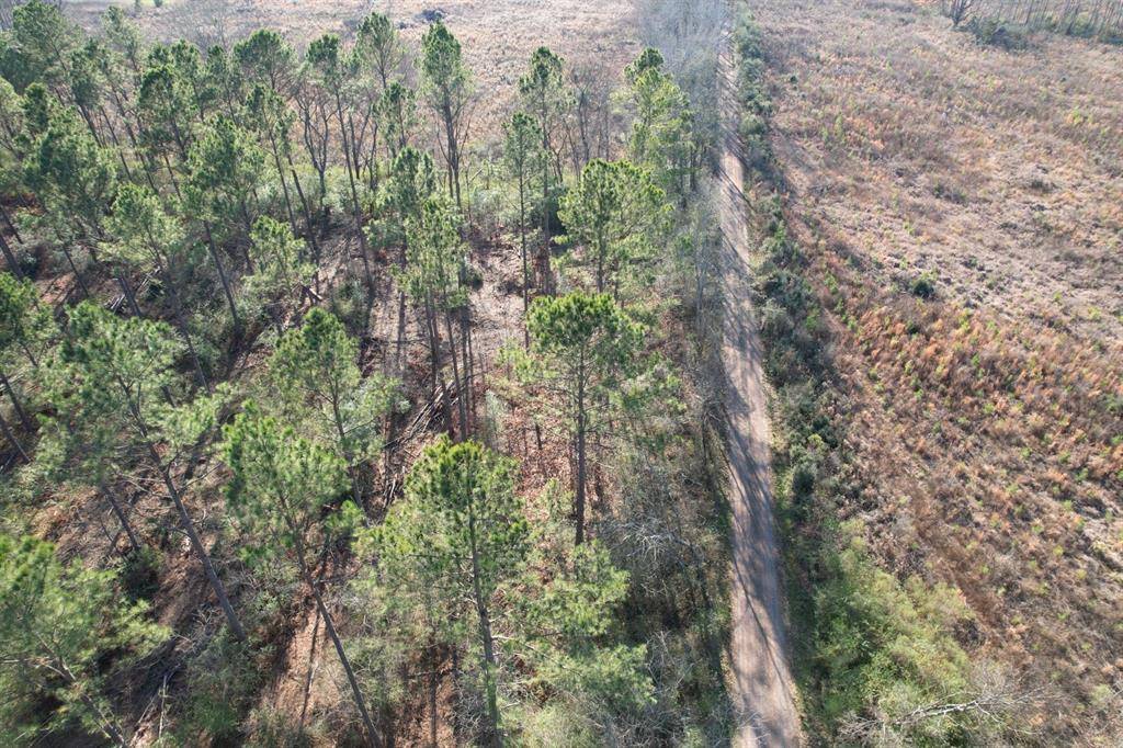 Beckville, TX 75631,TBD-A County Road 216