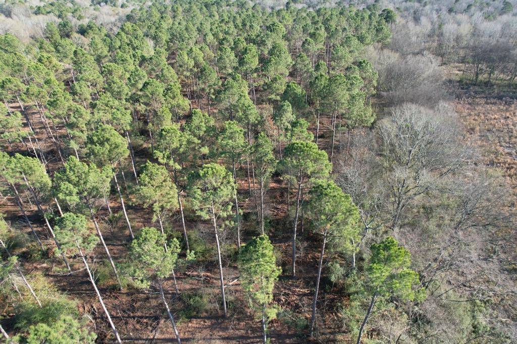 Beckville, TX 75631,TBD-A County Road 216