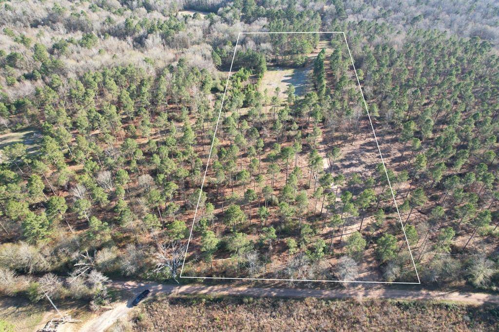 Beckville, TX 75631,TBD-B County Road 216