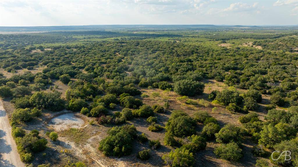 Coleman, TX 76834,TBD CR 419