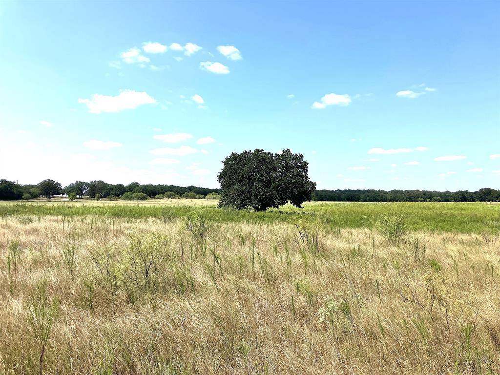 Comanche, TX 76442,40 Acres TBD HWY 2247