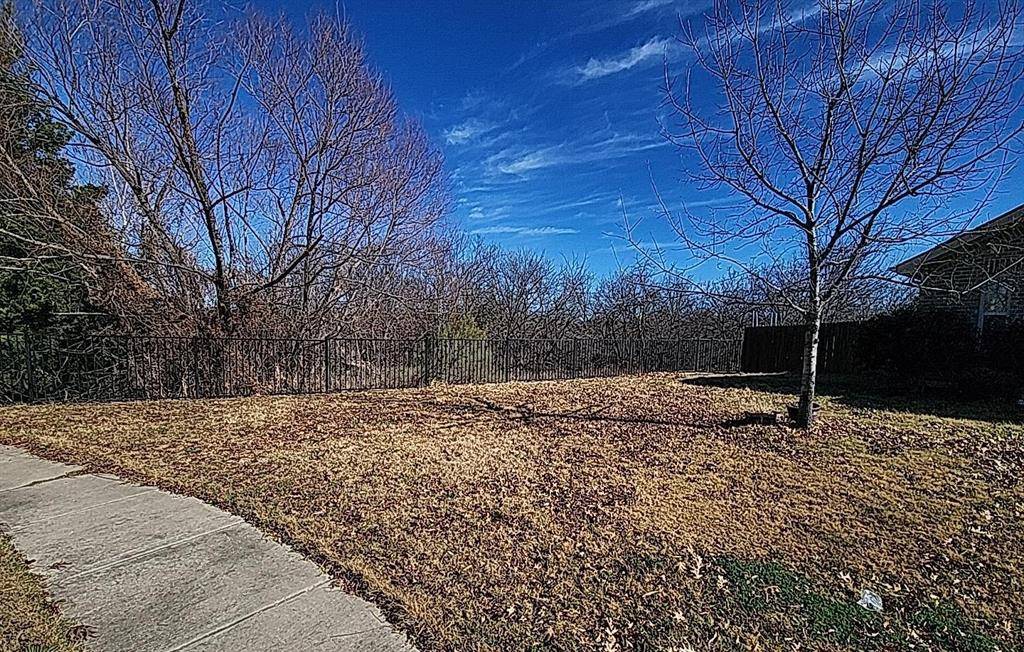 Frisco, TX 75036,12024 Clearpoint Court