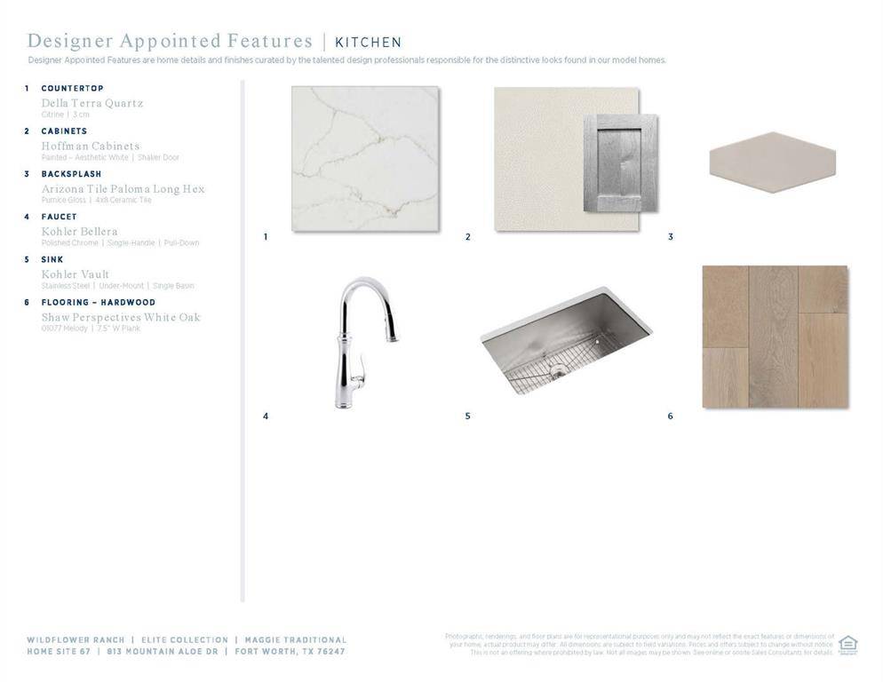 Fort Worth, TX 76247,813 Mountain Aloe