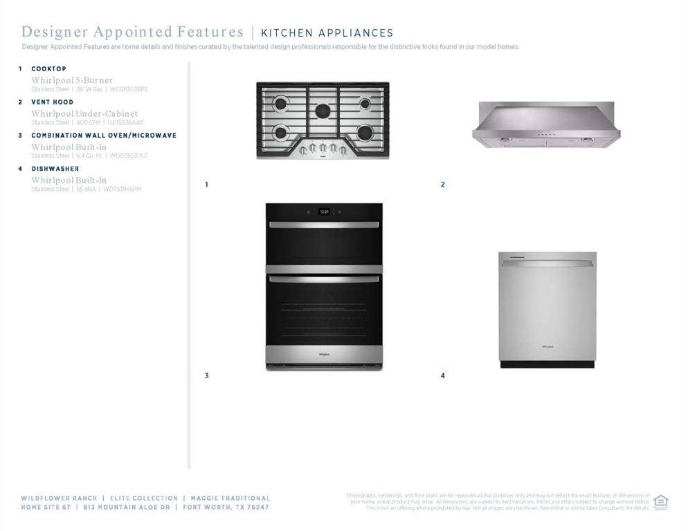 Fort Worth, TX 76247,813 Mountain Aloe