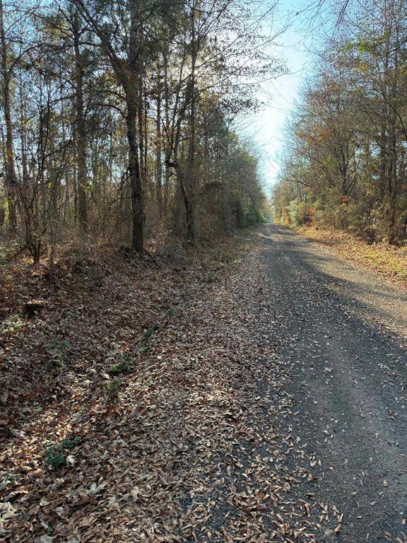 Beckville, TX 75631,TBD-C County Road 216