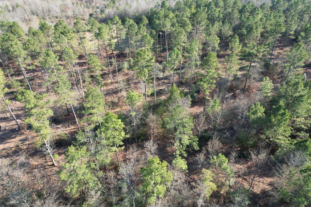 Beckville, TX 75631,TBD-D County Road 216